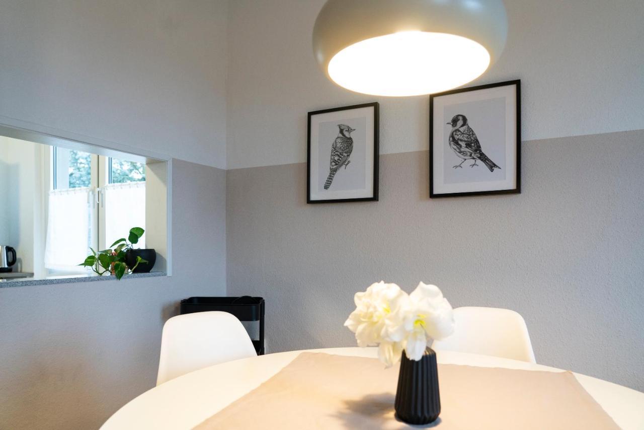 Harzquartier Apartment Friedrichsbrunn Exterior photo